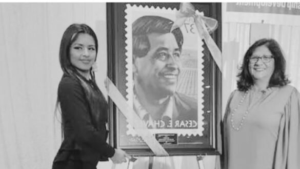 Elizabeth Chavez Villarino